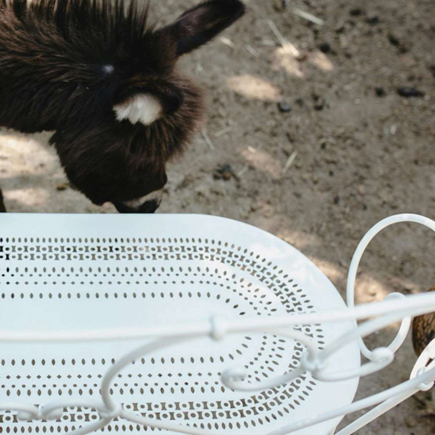 1900 Bench, Rosemary 3 1900 Bench, Rosemary - Image 3