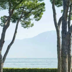 FIAM Domino Armchair, Anthracite 7 FIAM Domino Armchair, Anthracite -Outlet A Serene Garden Store fiam domino armchair 10