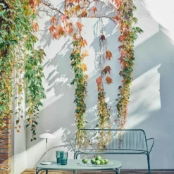 Kartell Hiray Sofa, Green -Outlet A Serene Garden Store kartell hiray 31